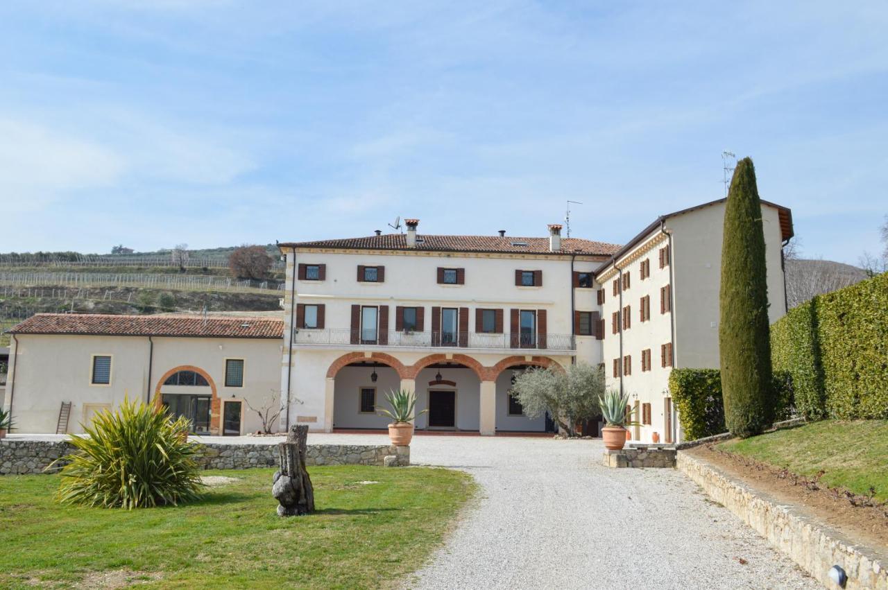 Verdeolivo 1876 - & Pool * Mezzane di Sotto